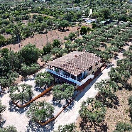 Ferienwohnung Rustico Degli Ulivi Orosei Exterior foto