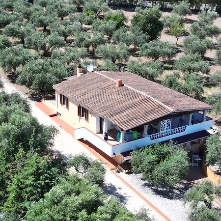Ferienwohnung Rustico Degli Ulivi Orosei Exterior foto